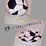 Luftballonhülle 3
Preis: 9,90€